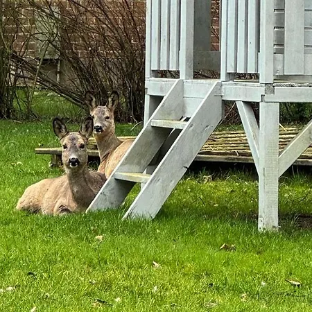 Апартаменты Voss 5 *