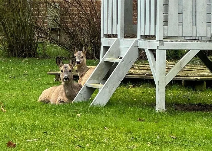 Appartamento Voss 5 *